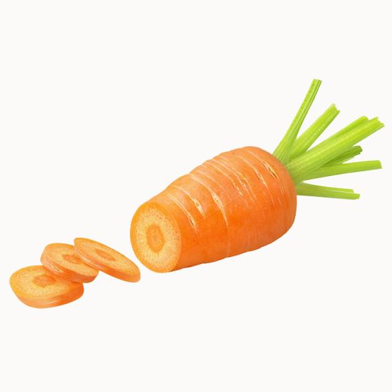 Carrot - Image 3